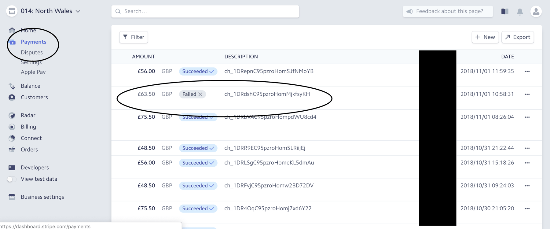 Payment Card Not Working