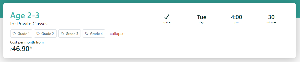 Example of Class Tags displayed in class setup and customer view